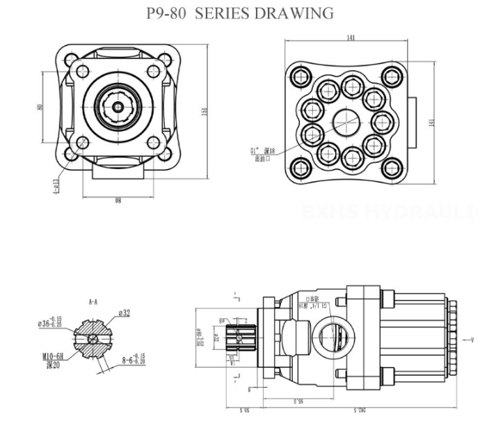 P9-80 P7-63 PUMPS